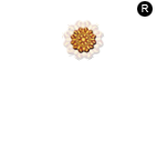 Thewa Jewellery - Jewel Ace International